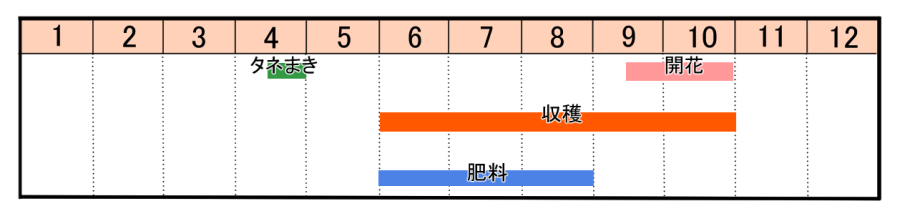 栽培カレンダー