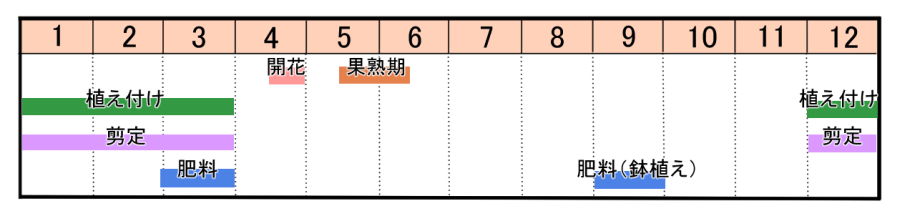 栽培カレンダー