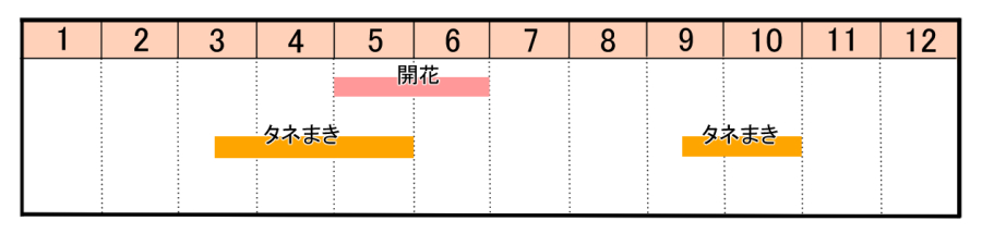 栽培カレンダー