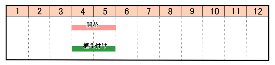 栽培カレンダー