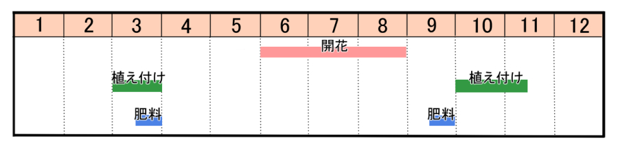 栽培カレンダー