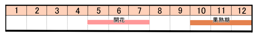 栽培カレンダー