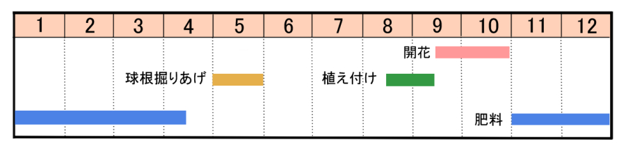 栽培カレンダー