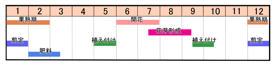 栽培カレンダー