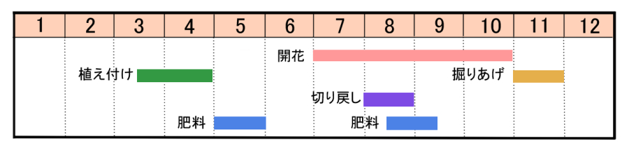 栽培カレンダー