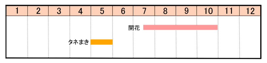 栽培カレンダー