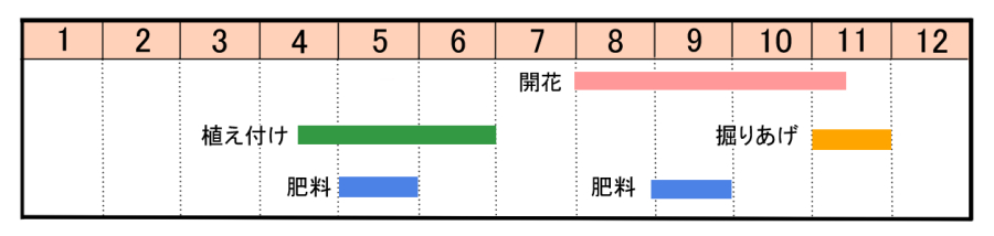 栽培カレンダー