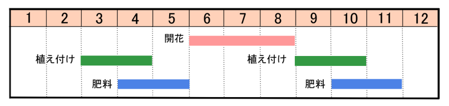 栽培カレンダー