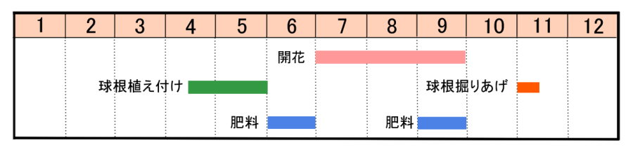 栽培カレンダー