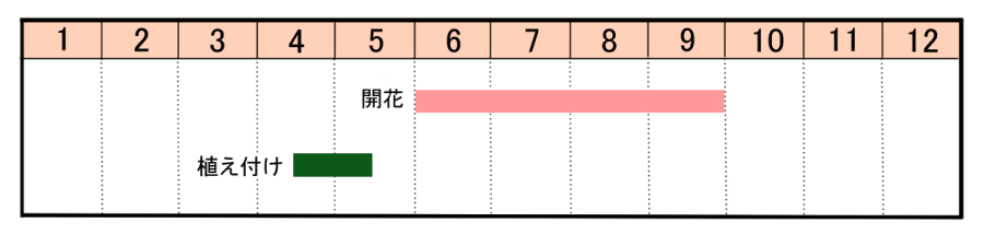 栽培カレンダー