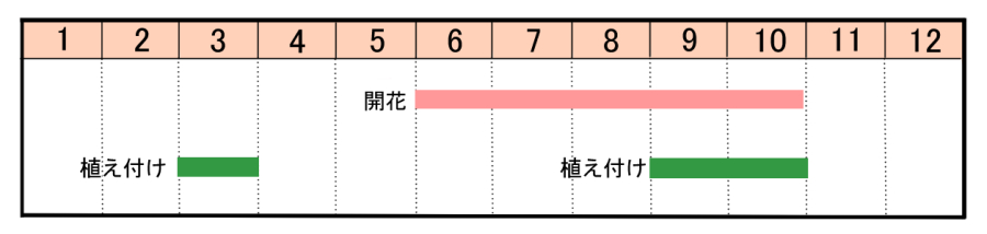 栽培カレンダー