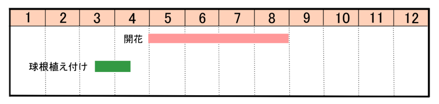 栽培カレンダー