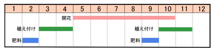 栽培カレンダー