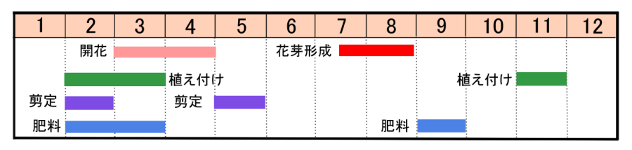 栽培カレンダー