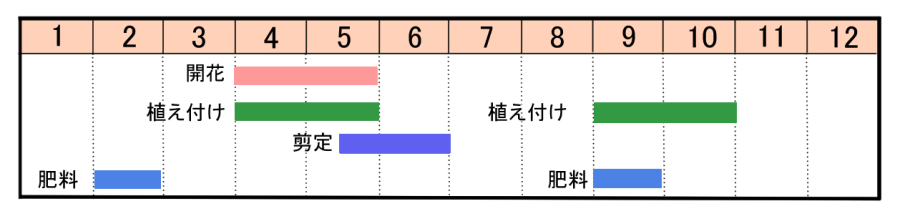 栽培カレンダー