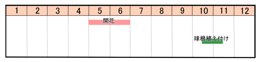 栽培カレンダー