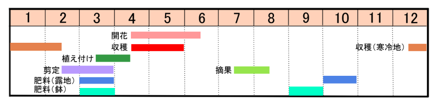 栽培カレンダー