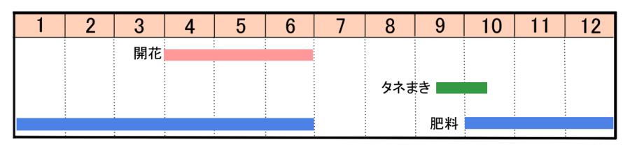 栽培カレンダー