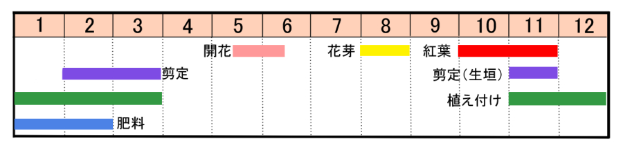 栽培カレンダー