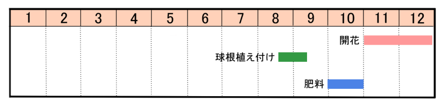 栽培カレンダー