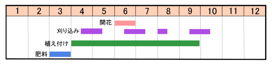 栽培カレンダー