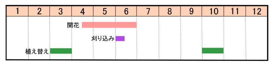 栽培カレンダー