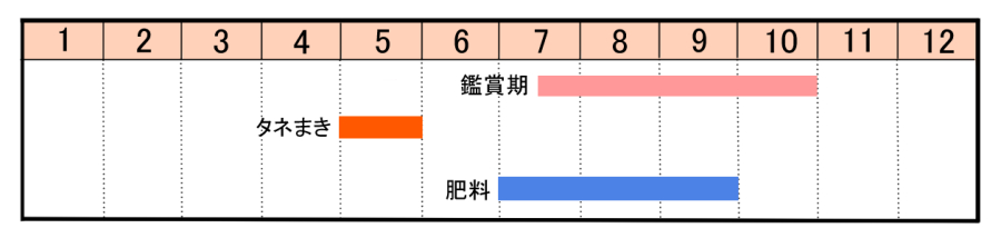 栽培カレンダー