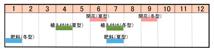 栽培カレンダー