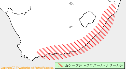 南アフリカ